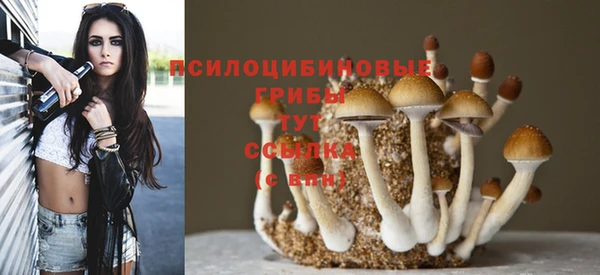 spice Арсеньев