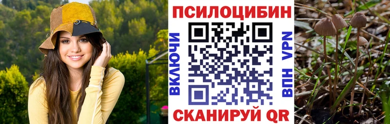 KRAKEN как зайти  Калязин  Псилоцибиновые грибы ЛСД 